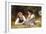 Hazelnuts-William Adolphe Bouguereau-Framed Art Print