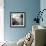 Hazelope-Craig Roberts-Framed Photographic Print displayed on a wall