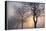 Hazy Sunrise with Tree Tree Silhouettes-Cora Niele-Framed Premier Image Canvas