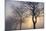 Hazy Sunrise with Tree Tree Silhouettes-Cora Niele-Mounted Photographic Print