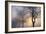 Hazy Sunrise with Tree Tree Silhouettes-Cora Niele-Framed Photographic Print