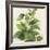 Hazy Tropics - Grow-Aria Ellis-Framed Giclee Print