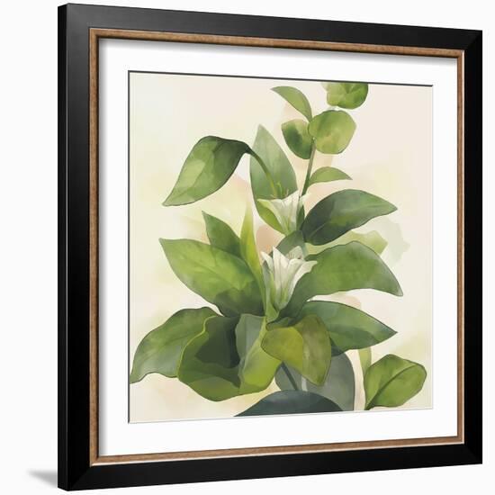 Hazy Tropics - Grow-Aria Ellis-Framed Giclee Print