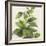 Hazy Tropics - Grow-Aria Ellis-Framed Giclee Print