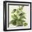 Hazy Tropics - Grow-Aria Ellis-Framed Giclee Print