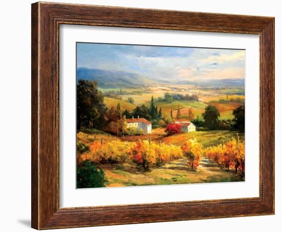 Hazy Tuscan Farm-S. Hinus-Framed Art Print