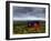 Hdr Image of a Croft, Hebrides, Scotland, UK-Nadia Isakova-Framed Photographic Print