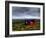 Hdr Image of a Croft, Hebrides, Scotland, UK-Nadia Isakova-Framed Photographic Print