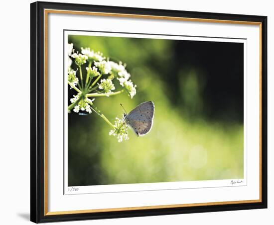 He Answers-Michelle Wermuth-Framed Giclee Print