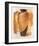 He Emperor-Joadoor-Framed Art Print