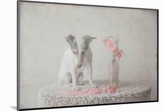 He loves me....he loves me not....-Heike Willers-Mounted Photographic Print