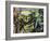 He Man-Dan Monteavaro-Framed Giclee Print