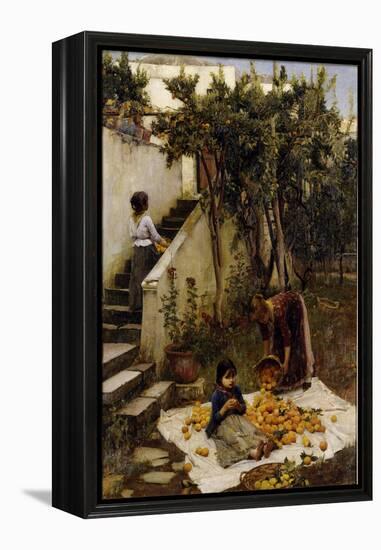 he Orange Gatherers-John William Waterhouse-Framed Premier Image Canvas