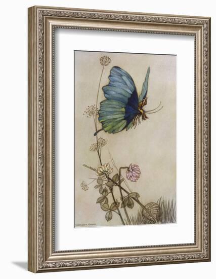 He Rides on the Back of a Butterfly-Warwick Goble-Framed Photographic Print