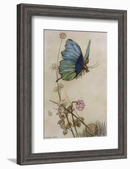 He Rides on the Back of a Butterfly-Warwick Goble-Framed Photographic Print