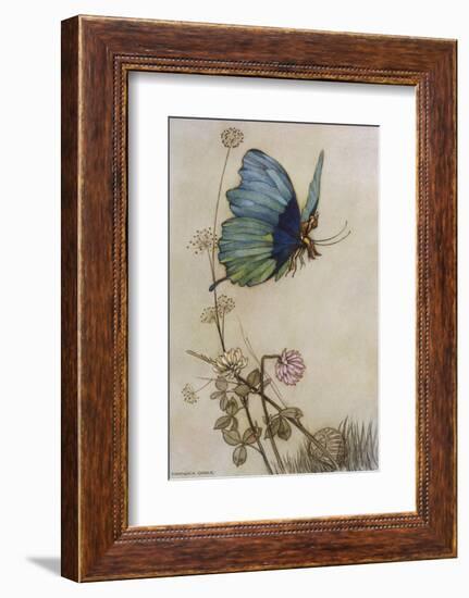 He Rides on the Back of a Butterfly-Warwick Goble-Framed Photographic Print