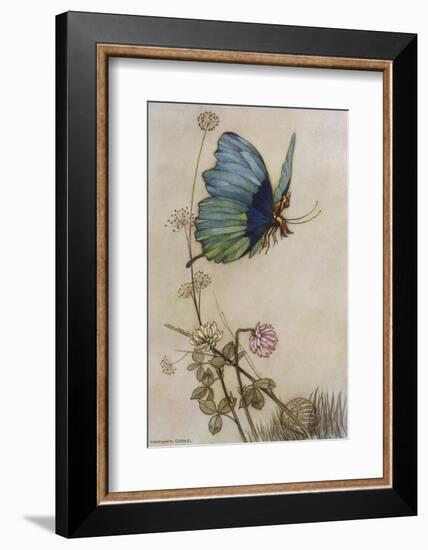 He Rides on the Back of a Butterfly-Warwick Goble-Framed Photographic Print