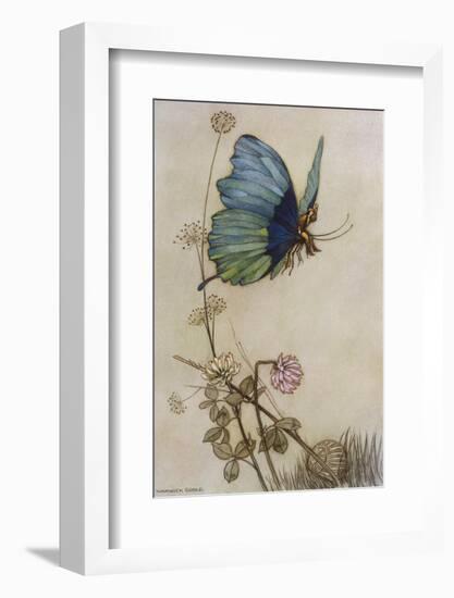 He Rides on the Back of a Butterfly-Warwick Goble-Framed Photographic Print