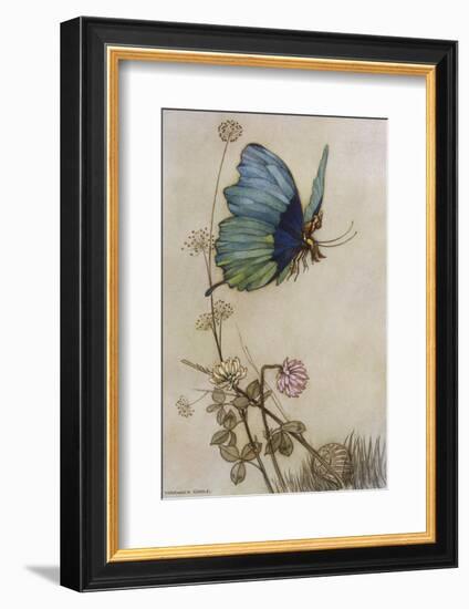 He Rides on the Back of a Butterfly-Warwick Goble-Framed Photographic Print