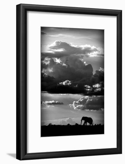 He walks under an African Sky-WildPhotoArt-Framed Art Print