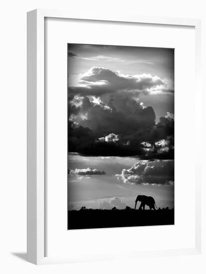 He walks under an African Sky-WildPhotoArt-Framed Art Print