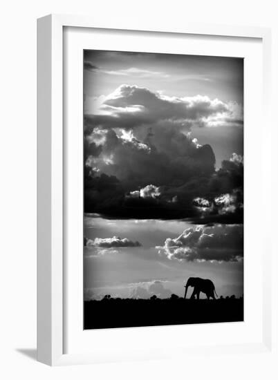 He walks under an African Sky-WildPhotoArt-Framed Art Print