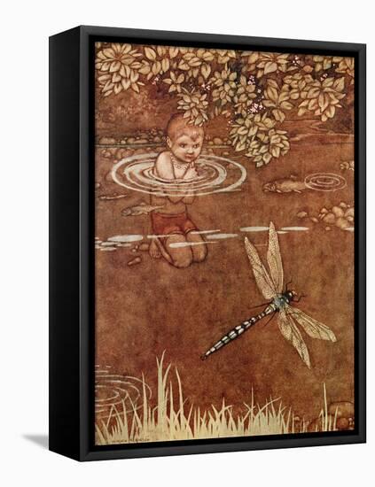 He Was a Little Conceited about His Fine Colours and His Large Wings-William Heath Robinson-Framed Premier Image Canvas