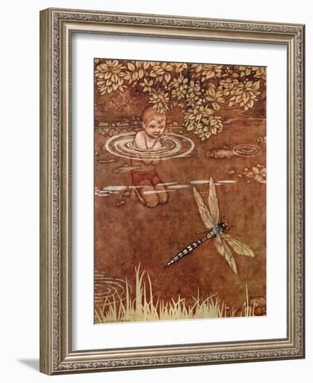 He Was a Little Conceited about His Fine Colours and His Large Wings-William Heath Robinson-Framed Giclee Print