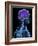 Head Anatomy, Artwork-SCIEPRO-Framed Photographic Print