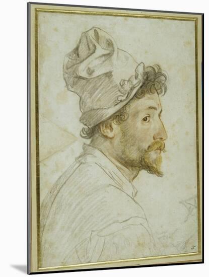 Head and Shoulders of a Bearded Man Wearing a Cap-Federico Zuccaro-Mounted Giclee Print