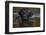 Head close up of Black labrador retriever dog swimming in pond, Rhode Island, USA-Lynn M. Stone-Framed Photographic Print