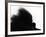 Head Fur of Standard Poodle-Henry Horenstein-Framed Photographic Print