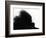 Head Fur of Standard Poodle-Henry Horenstein-Framed Photographic Print