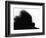 Head Fur of Standard Poodle-Henry Horenstein-Framed Photographic Print