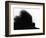 Head Fur of Standard Poodle-Henry Horenstein-Framed Photographic Print