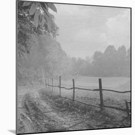 Head Home-Tomislav Bogovic-Mounted Photographic Print