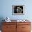 Head Keeper at Sydney's Koala Park Holds 'Kamara' and Her Two One Year-Old Babies-null-Framed Photographic Print displayed on a wall