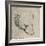 'Head of a Bear', c1480 (1945)-Leonardo Da Vinci-Framed Giclee Print