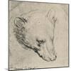 'Head of a Bear', c1480 (1945)-Leonardo Da Vinci-Mounted Giclee Print