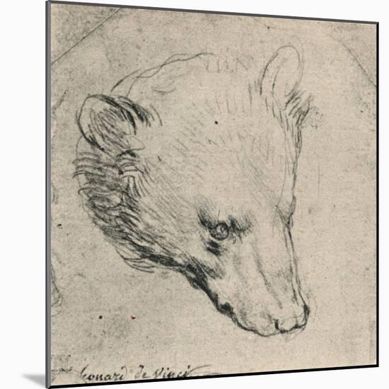 'Head of a Bear', c1480 (1945)-Leonardo Da Vinci-Mounted Giclee Print