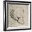 'Head of a Bear', c1480 (1945)-Leonardo Da Vinci-Framed Giclee Print