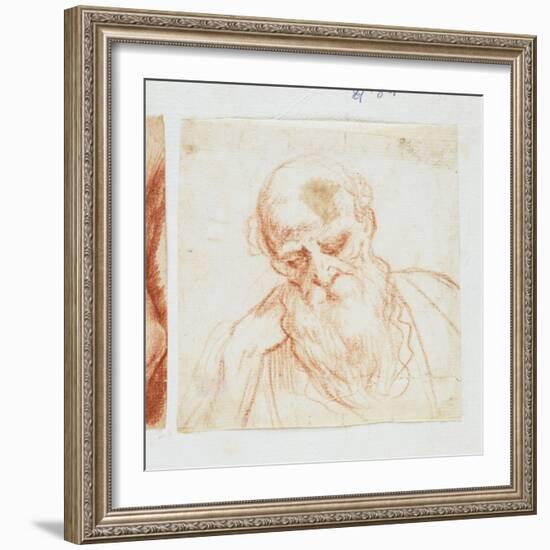 Head of a Bearded Man Looking Down-Giuseppe Cesari-Framed Giclee Print