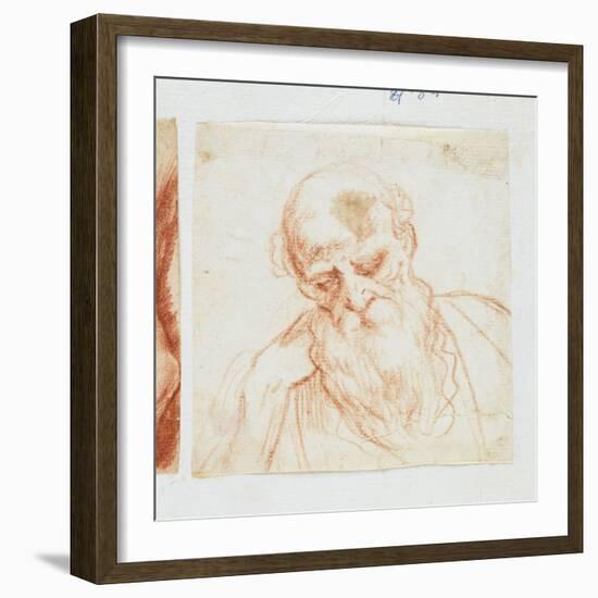 Head of a Bearded Man Looking Down-Giuseppe Cesari-Framed Giclee Print