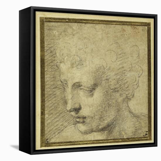 Head of a Boy, Nearly in Profile to the Left-Parmigianino-Framed Premier Image Canvas