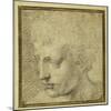 Head of a Boy, Nearly in Profile to the Left-Parmigianino-Mounted Giclee Print