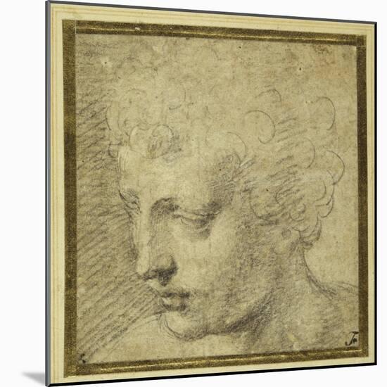 Head of a Boy, Nearly in Profile to the Left-Parmigianino-Mounted Giclee Print