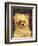 Head of a Dog - "Bob", 1876-Edouard Manet-Framed Giclee Print