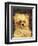 Head of a Dog - "Bob", 1876-Edouard Manet-Framed Giclee Print