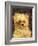 Head of a Dog - "Bob", 1876-Edouard Manet-Framed Giclee Print