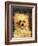 Head of a Dog - "Bob", 1876-Edouard Manet-Framed Giclee Print